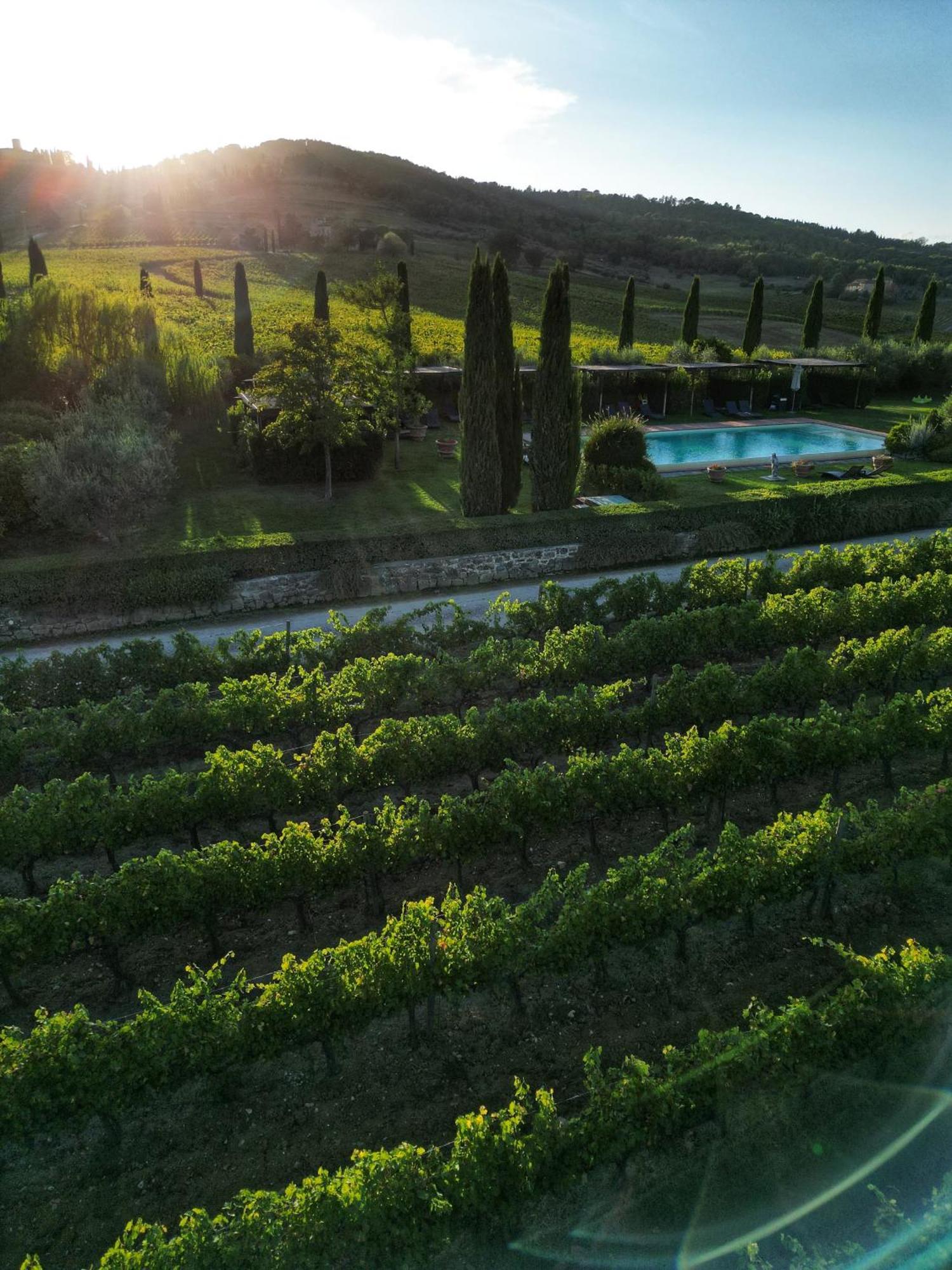 Villa Viticcio Greve in Chianti Exterior foto